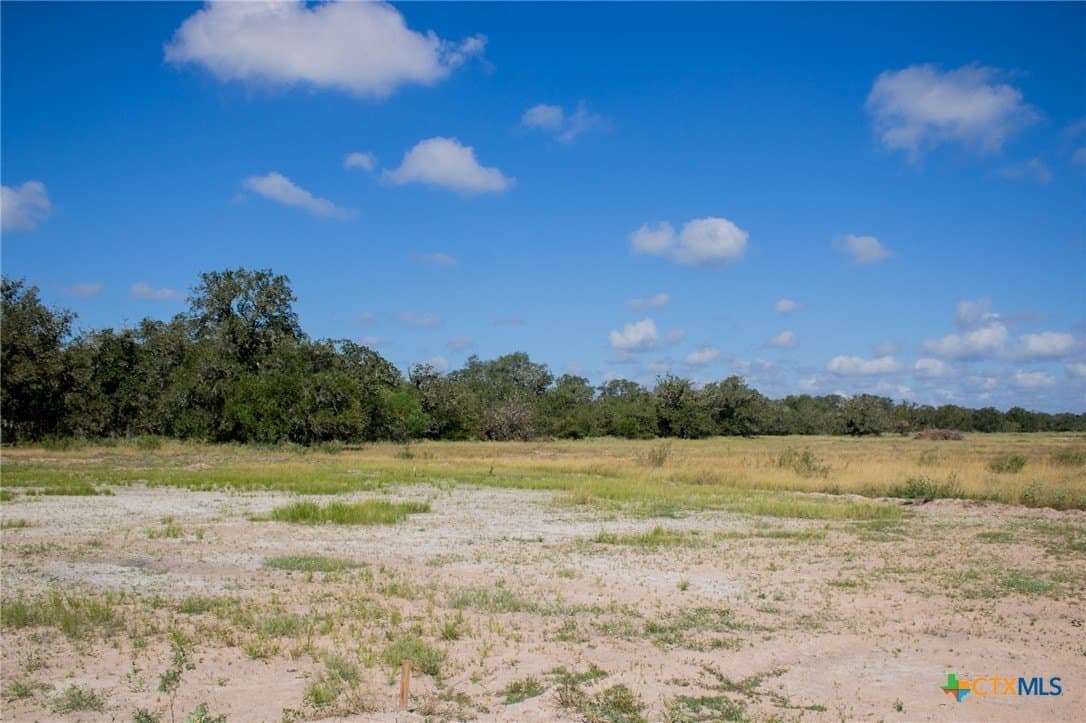32.25 acres in Goliad County - photo 24