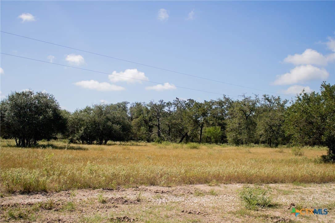 32.25 acres in Goliad County - photo 20
