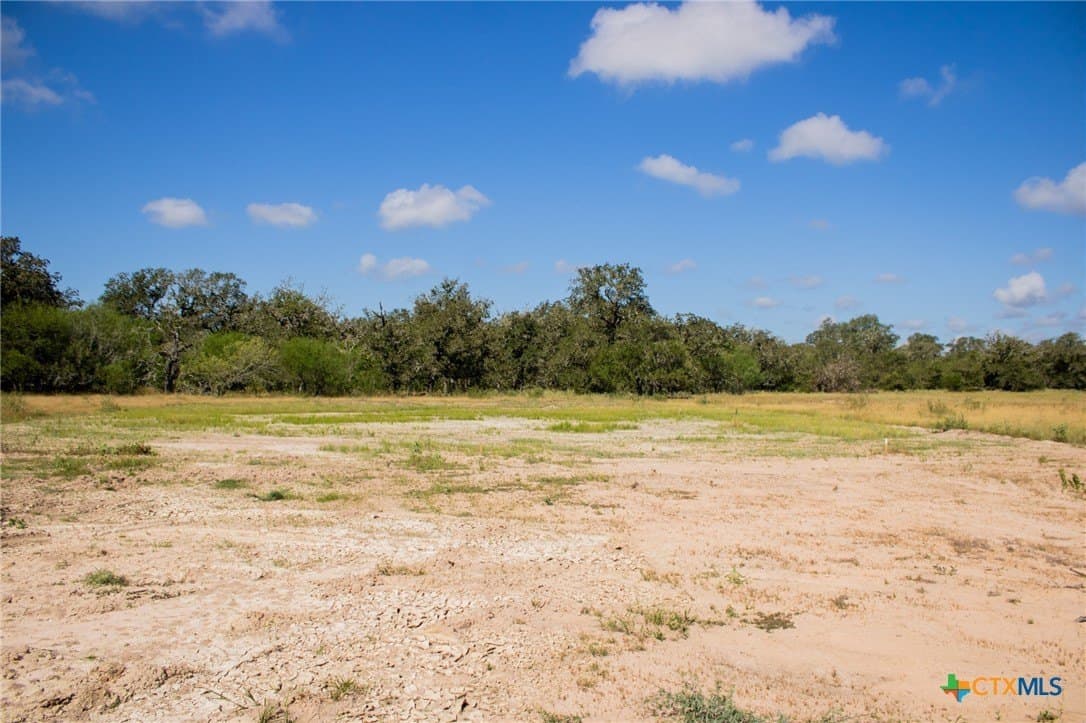 32.25 acres in Goliad County - photo 18