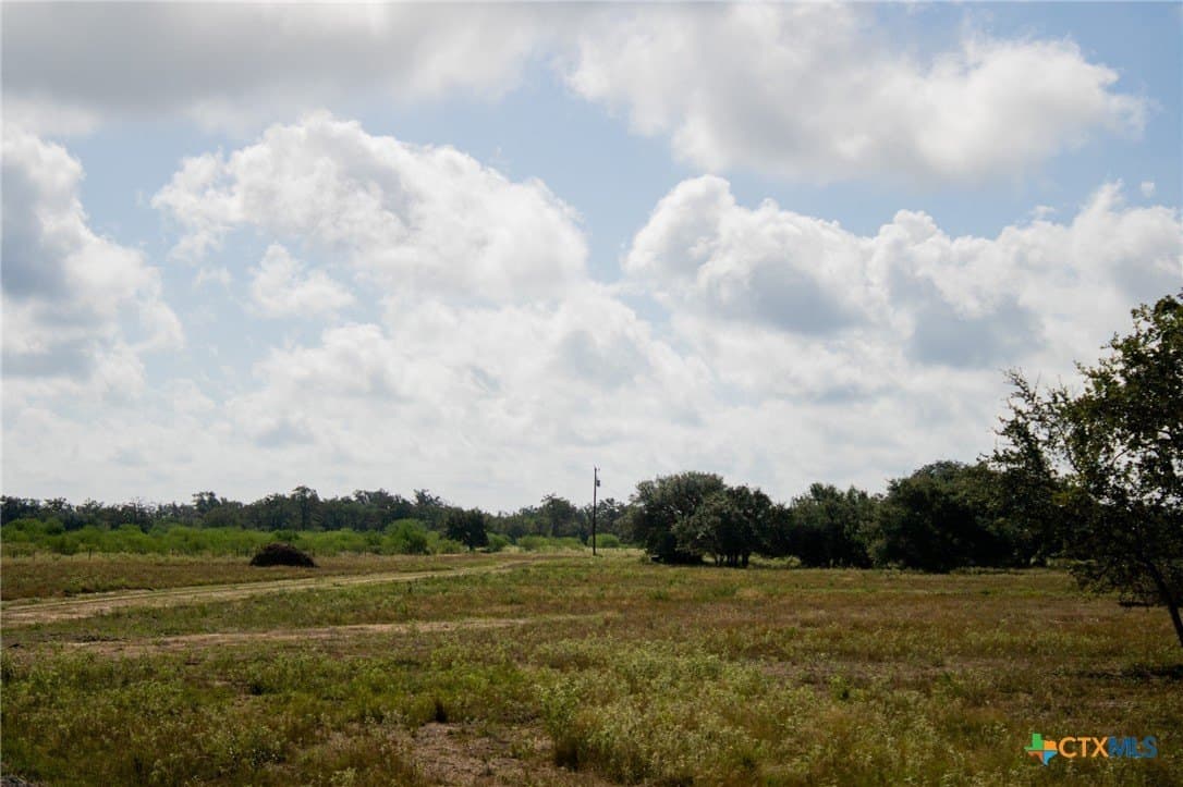 32.25 acres in Goliad County - photo 7