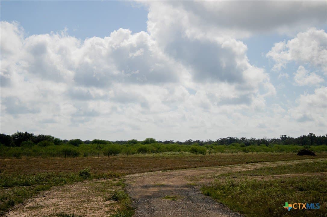 32.25 acres in Goliad County - photo 6