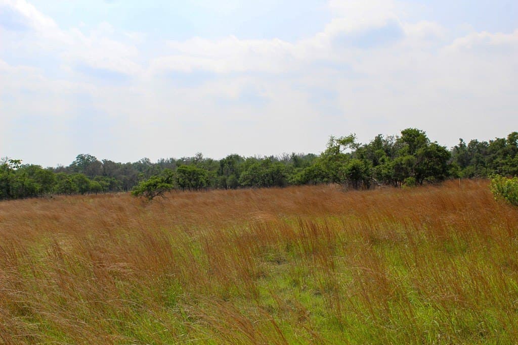 5.11 acres in Kerr County gallery image 2