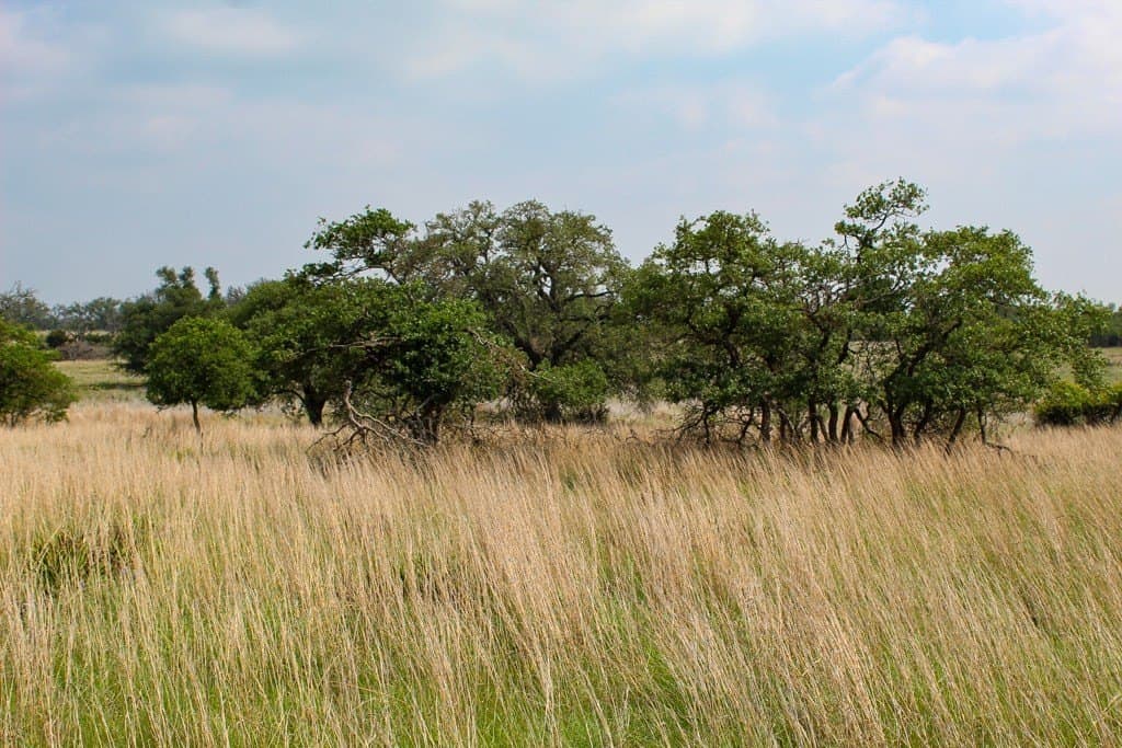 5.11 acres in Kerr County gallery image 3