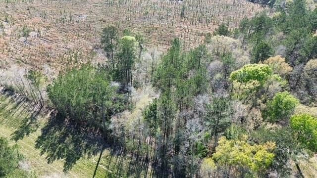 4 acres in Texas County - photo 9