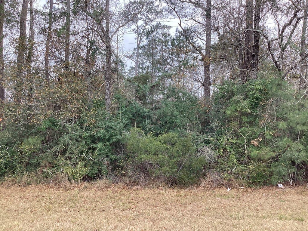 4 acres in Texas County gallery image 2