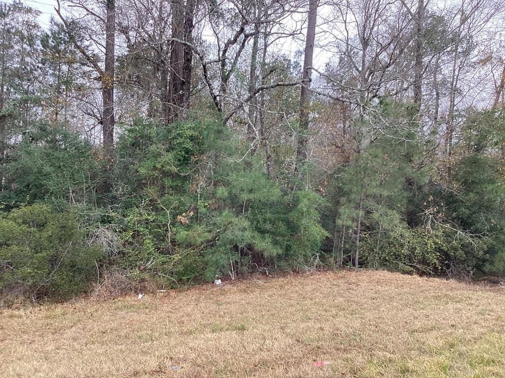 4 acres in Texas County gallery image 4
