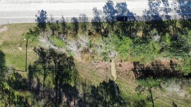 4 acres in Texas County - photo 6