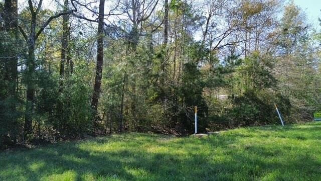 4 acres in Texas County featured view