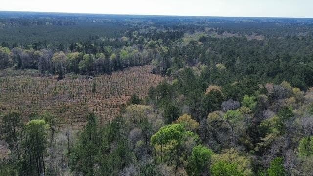 4 acres in Texas County