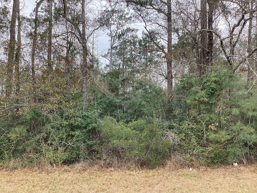 4 acres in Texas County gallery image 3