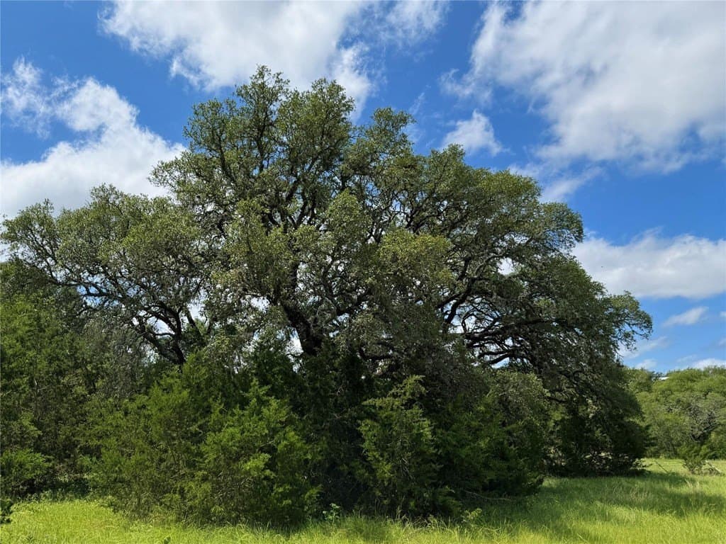 16.25 acres in Bandera County featured view