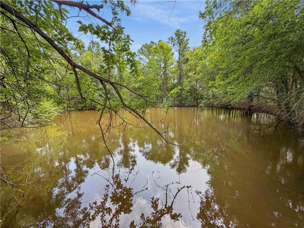 10.01 acres in Grimes County gallery image 3