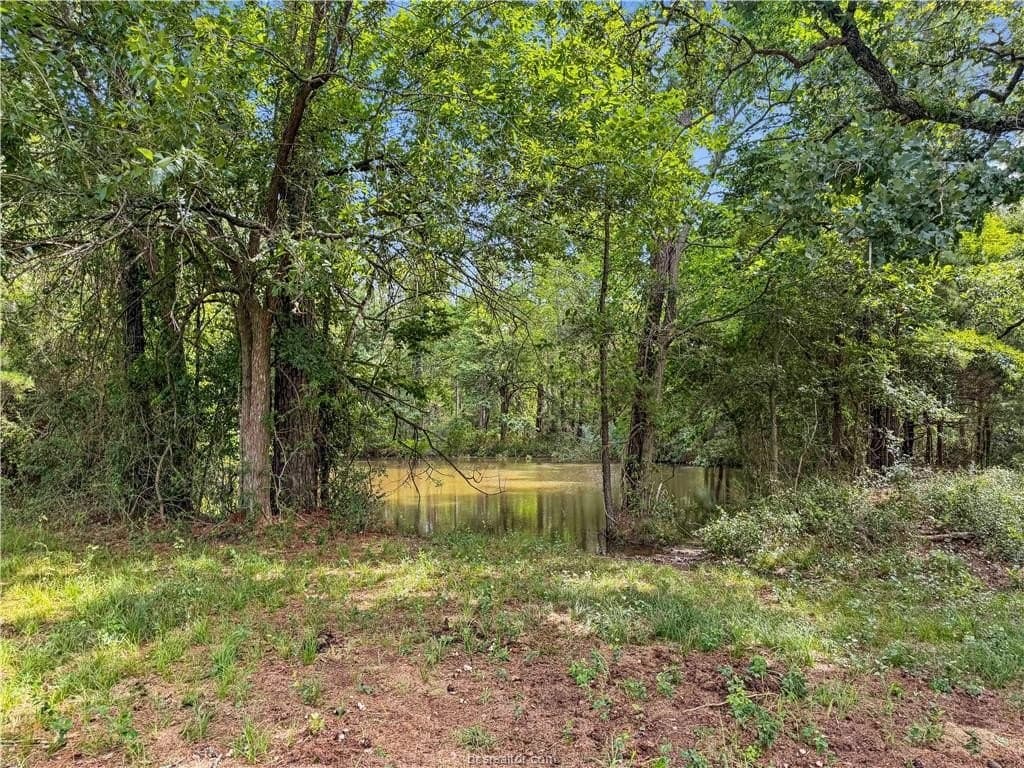 10.01 acres in Grimes County gallery image 2