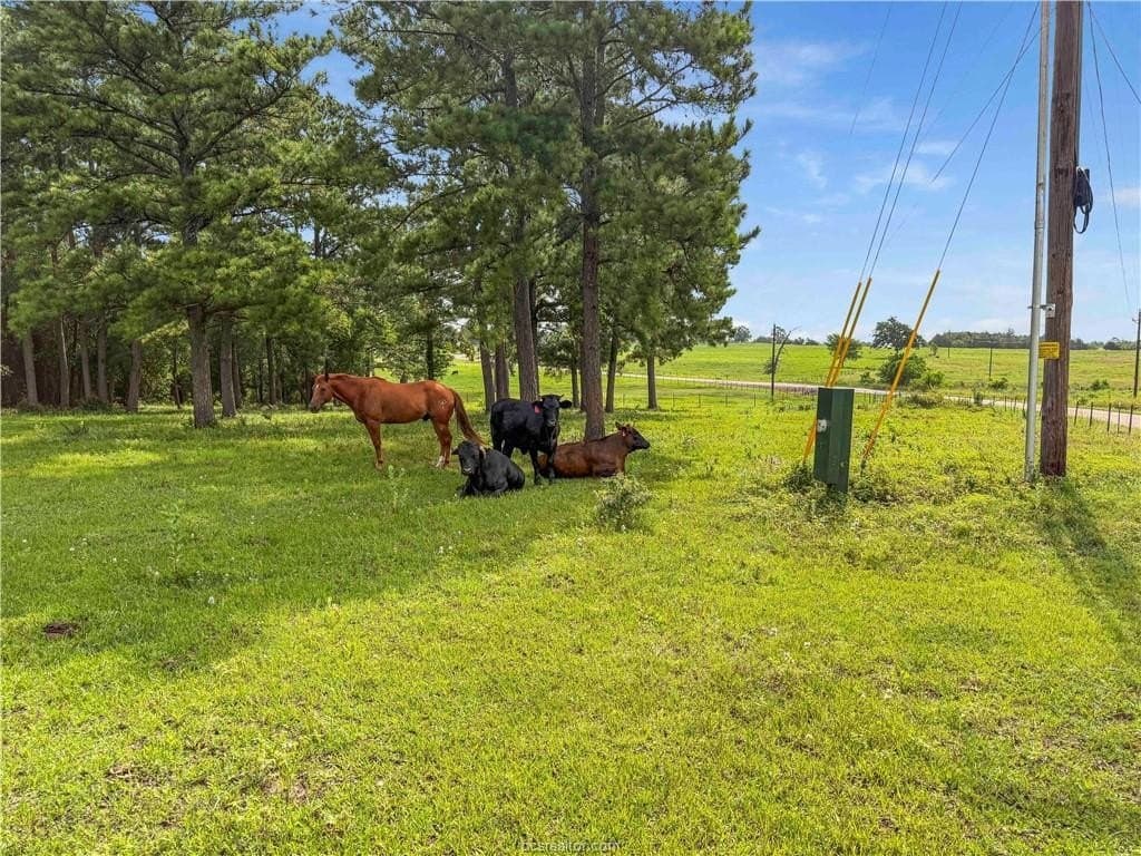 10.01 acres in Grimes County featured view
