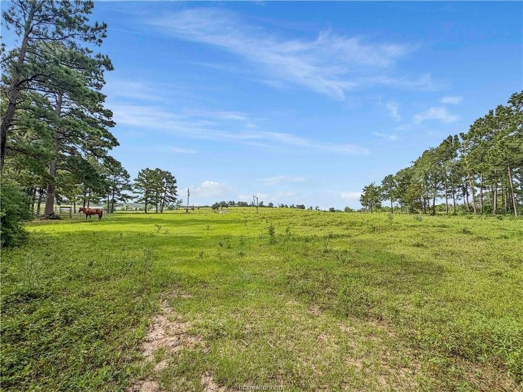 10.01 acres in Grimes County gallery image 4