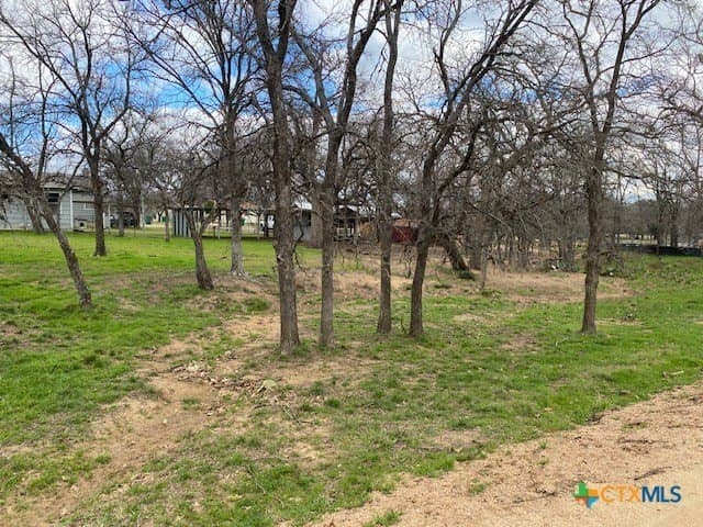 0.45 acres in Burnet County gallery image 3