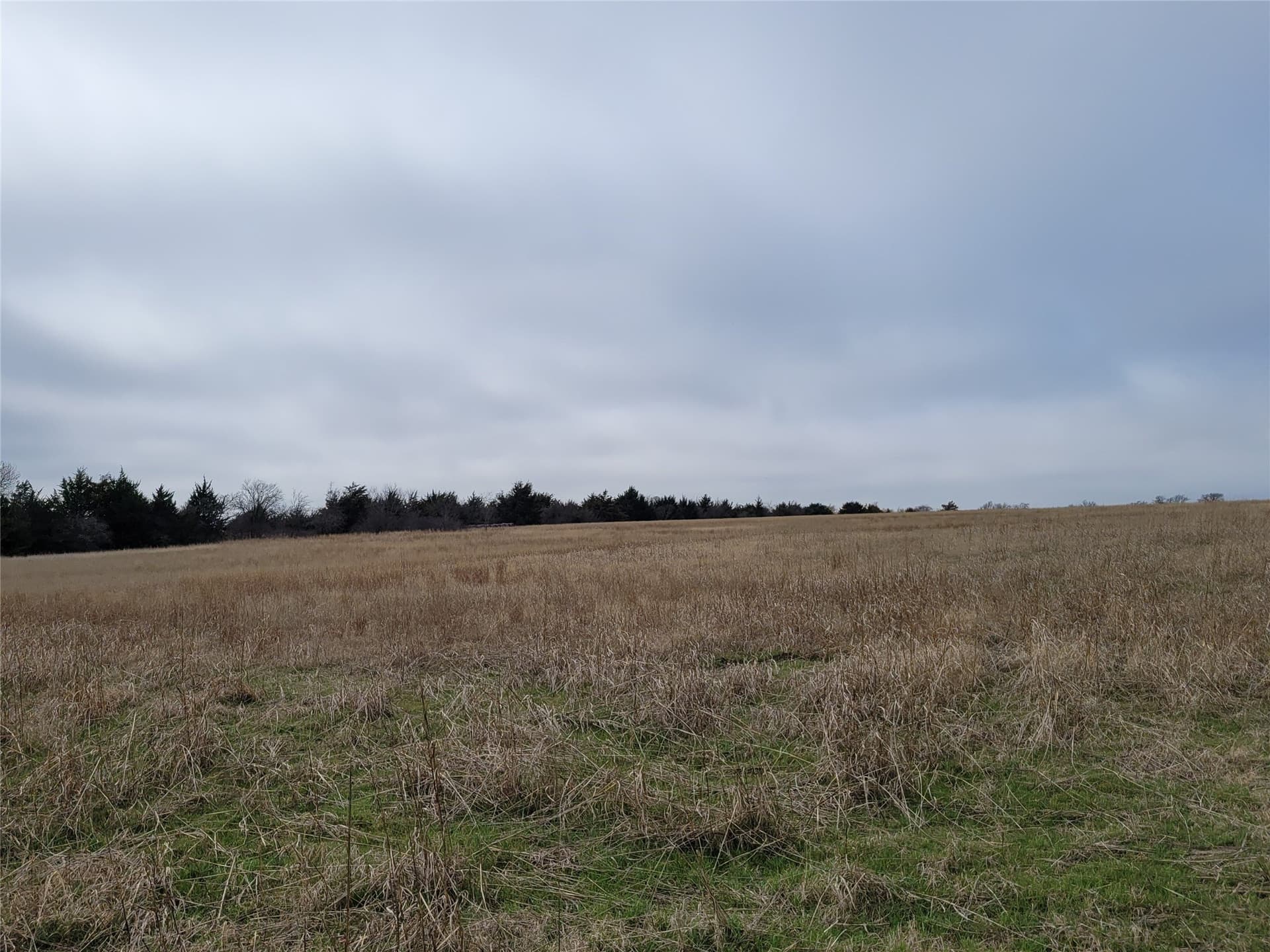 24.55 acres in Johnson County - photo 13