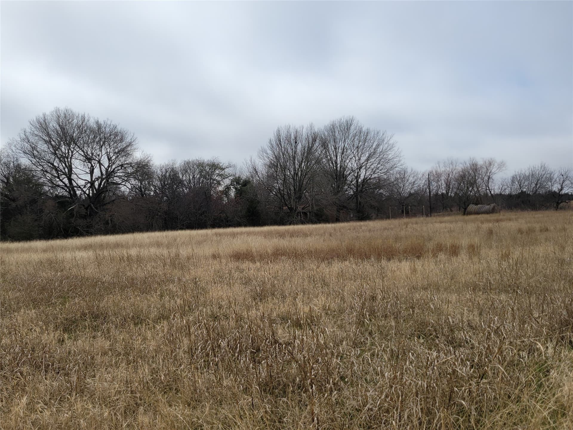 24.55 acres in Johnson County - photo 6