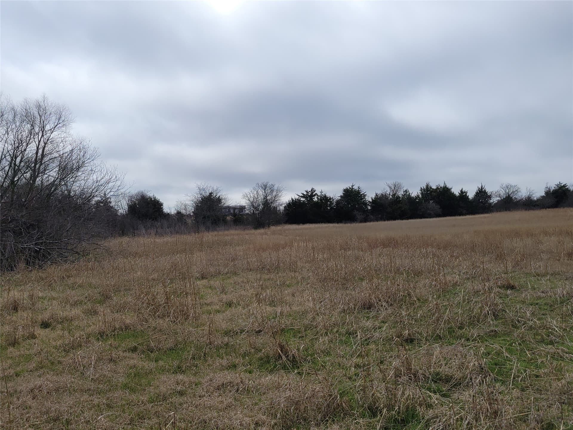 24.55 acres in Johnson County - photo 15