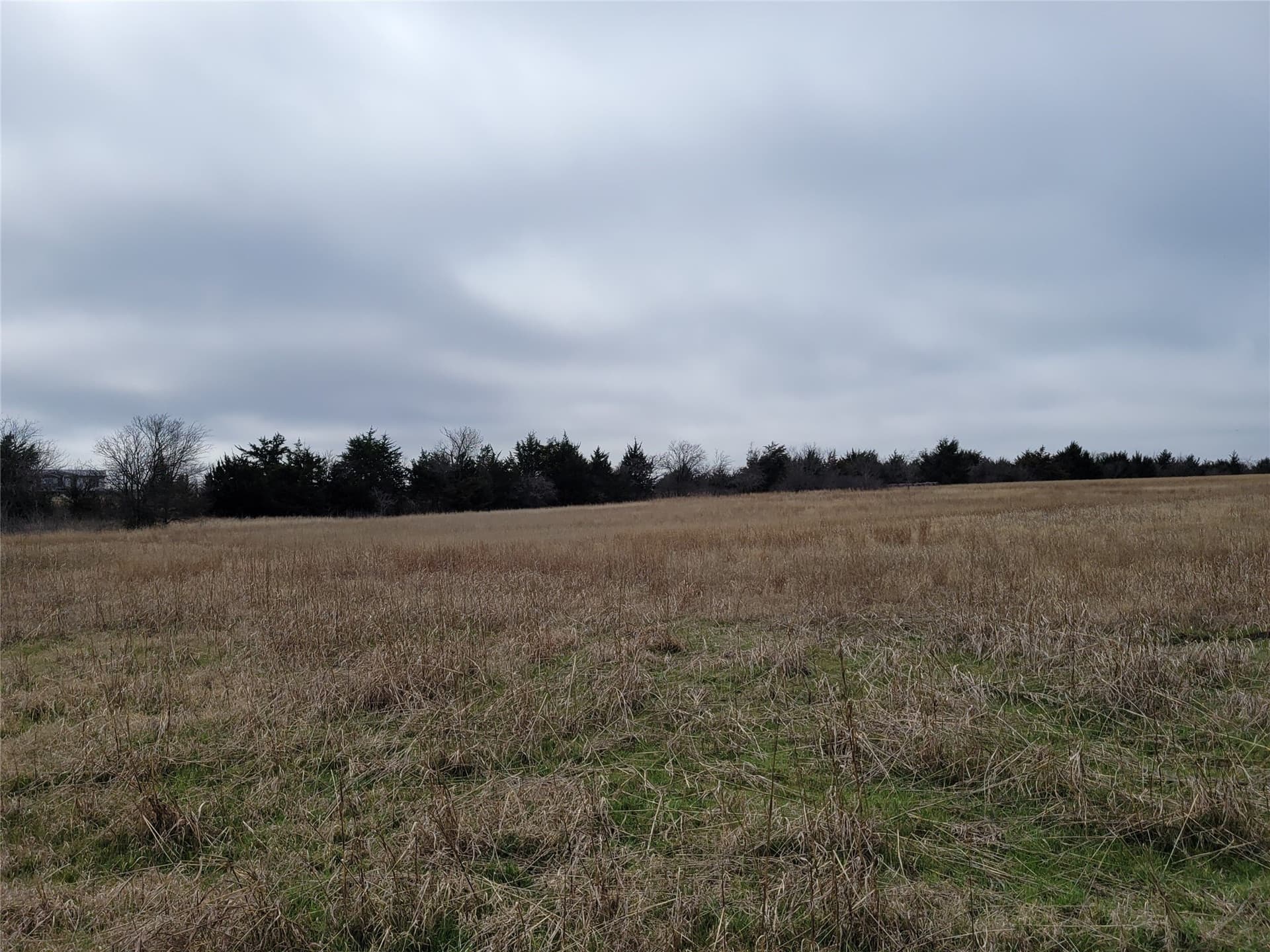 24.55 acres in Johnson County - photo 14