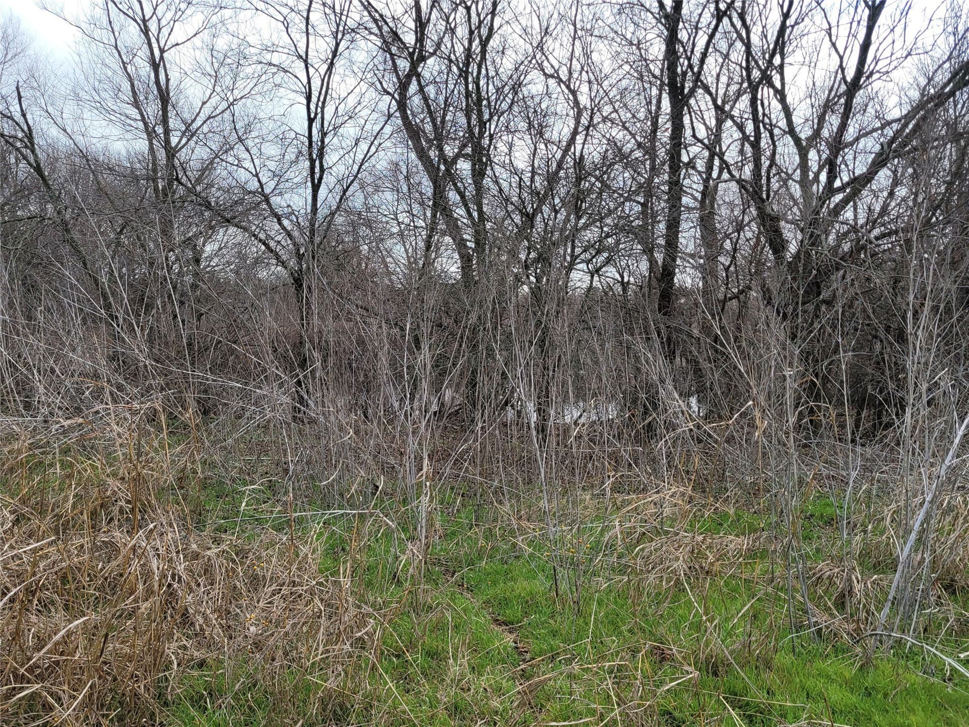 24.55 acres in Johnson County - photo 8