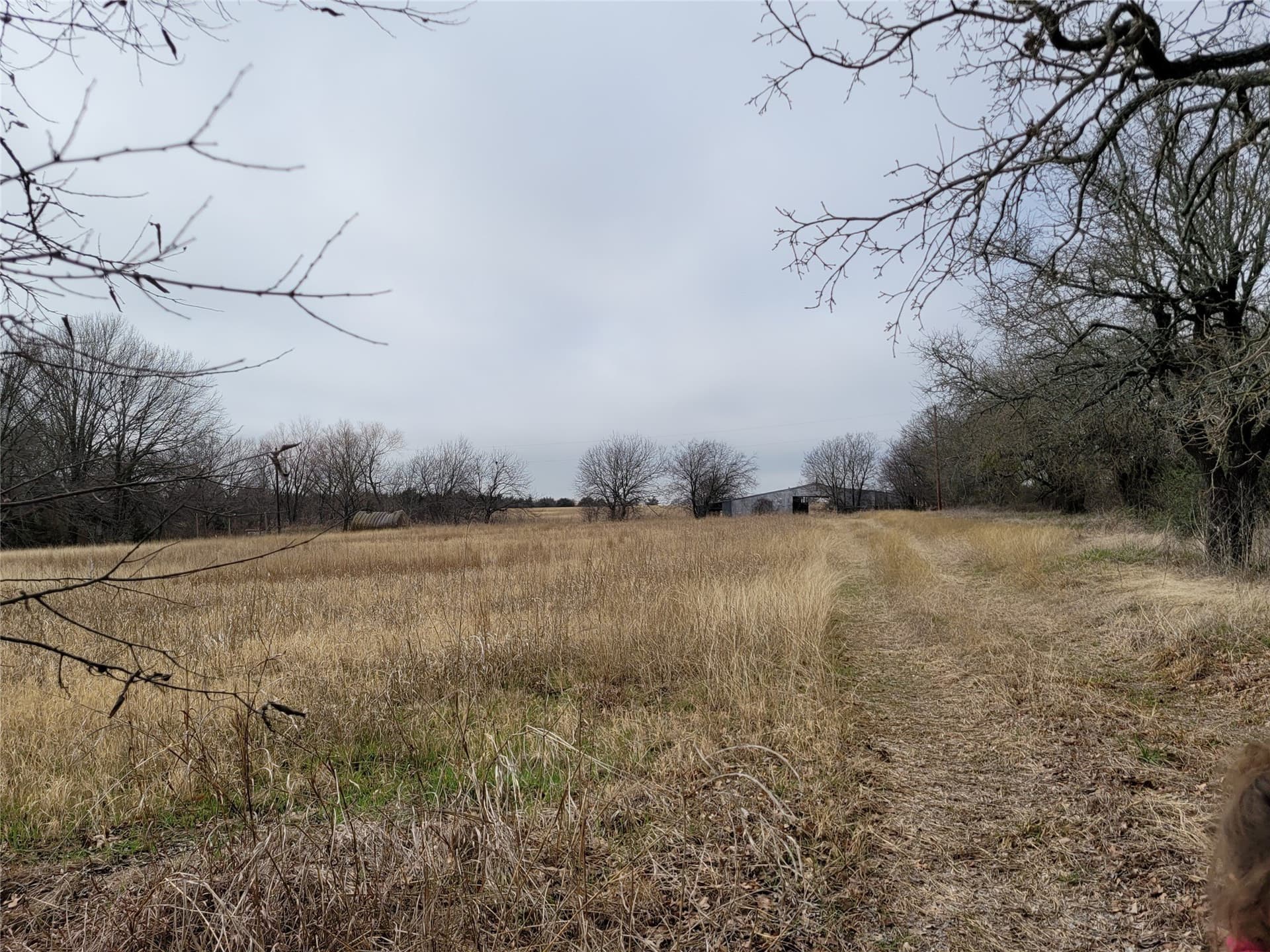 24.55 acres in Johnson County gallery image 2