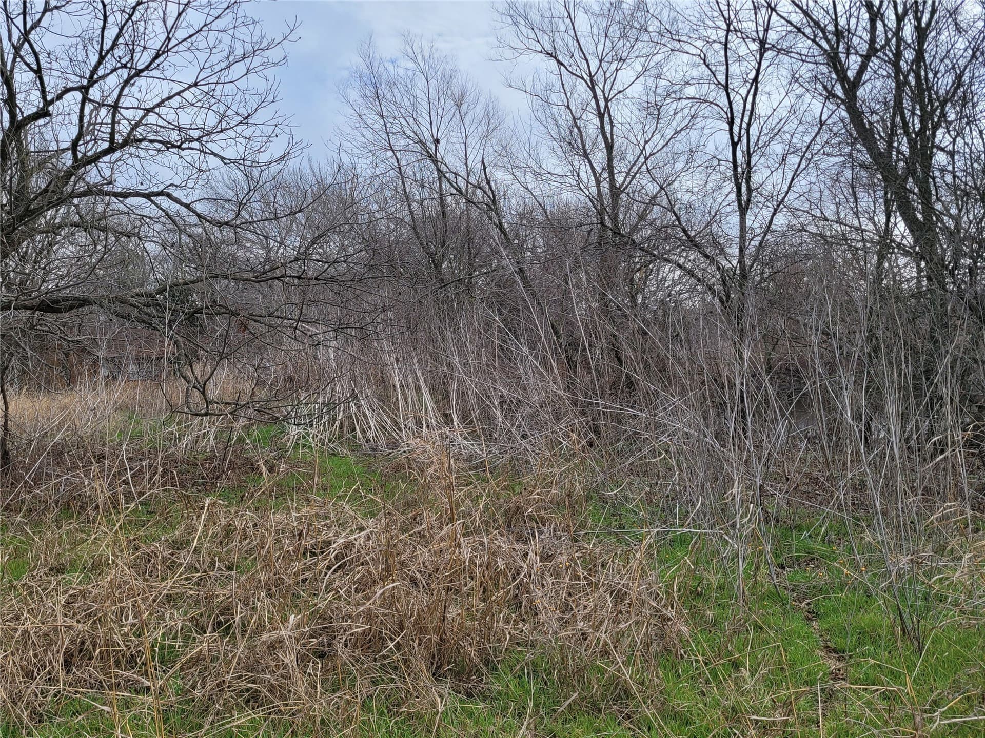 24.55 acres in Johnson County - photo 9