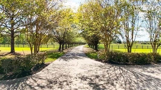 80 acres in Texas County - photo 4