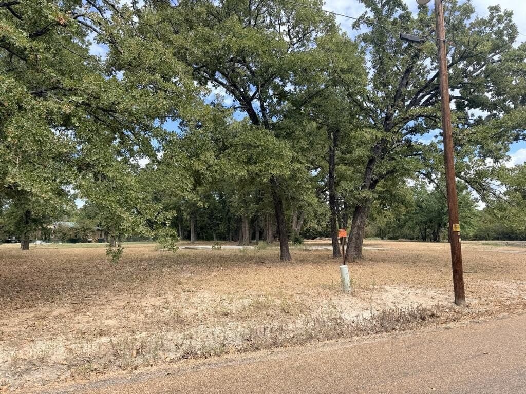 1.09 acres in Henderson County - photo 5