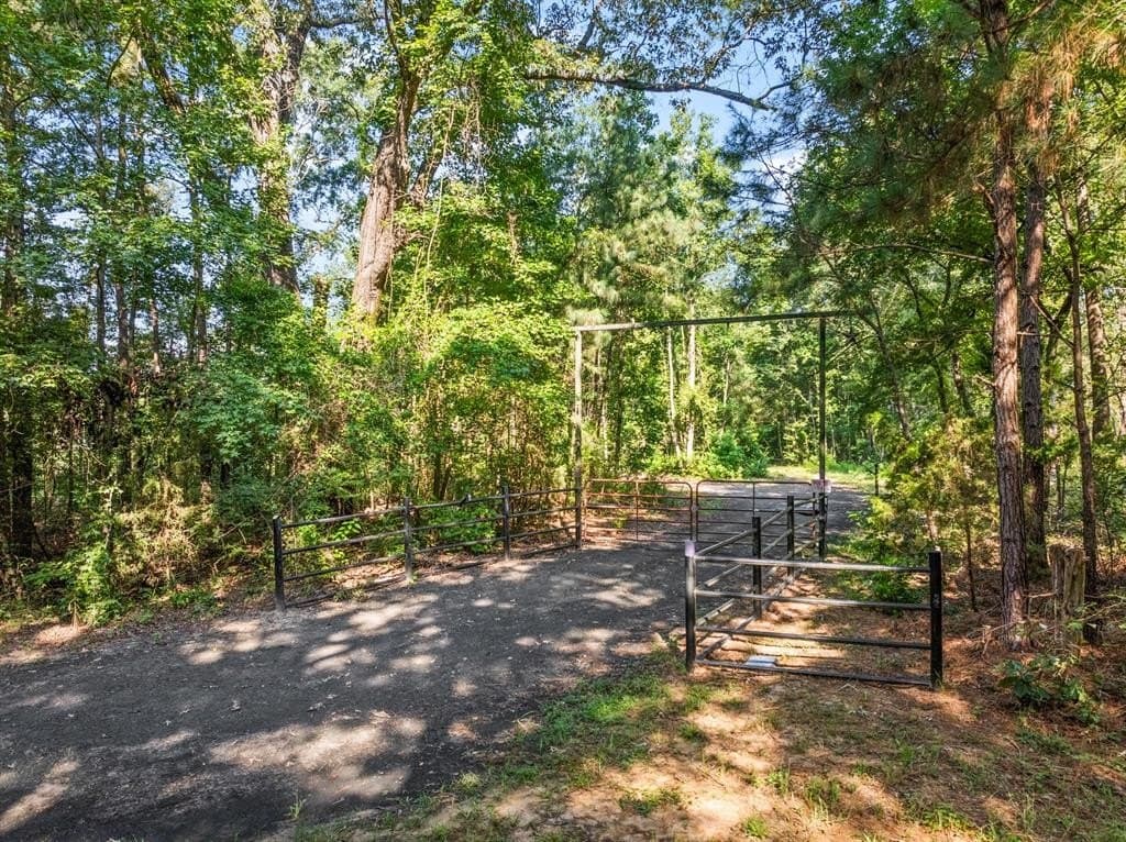 73.71 acres in Upshur County gallery image 3