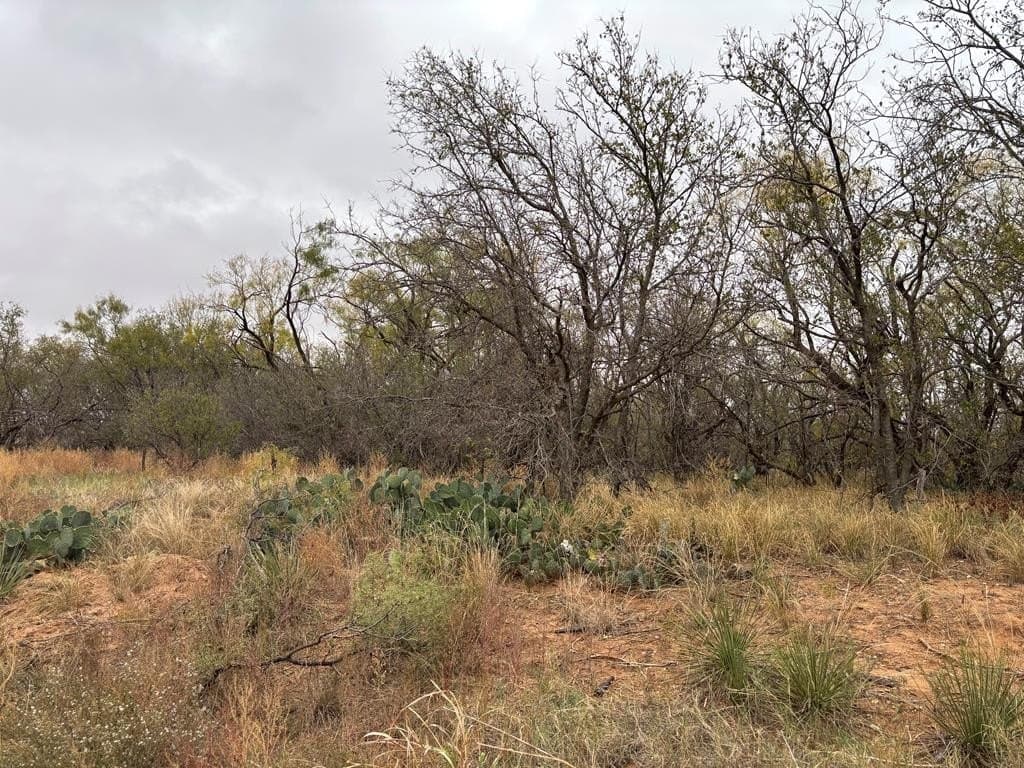 1.29 acres in Mitchell County featured view