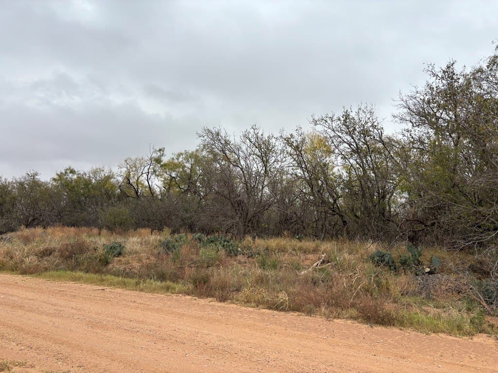 1.29 acres in Mitchell County gallery image 4