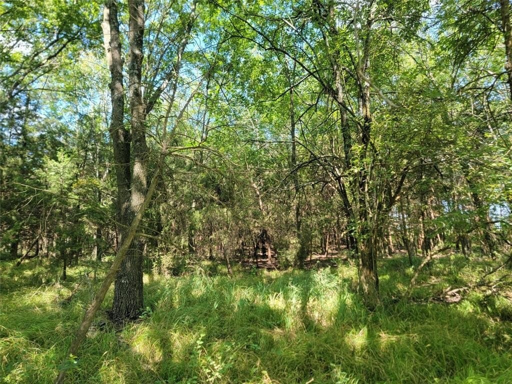 26.02 acres in Lamar County gallery image 2