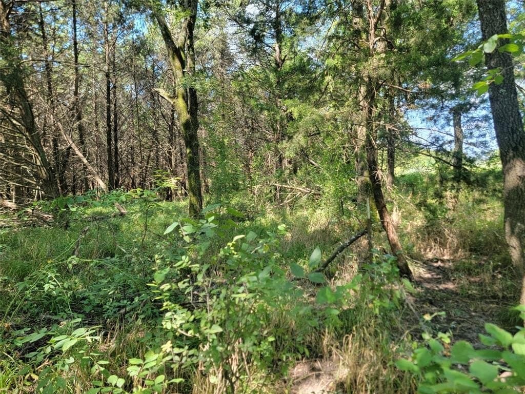 26.02 acres in Lamar County featured view