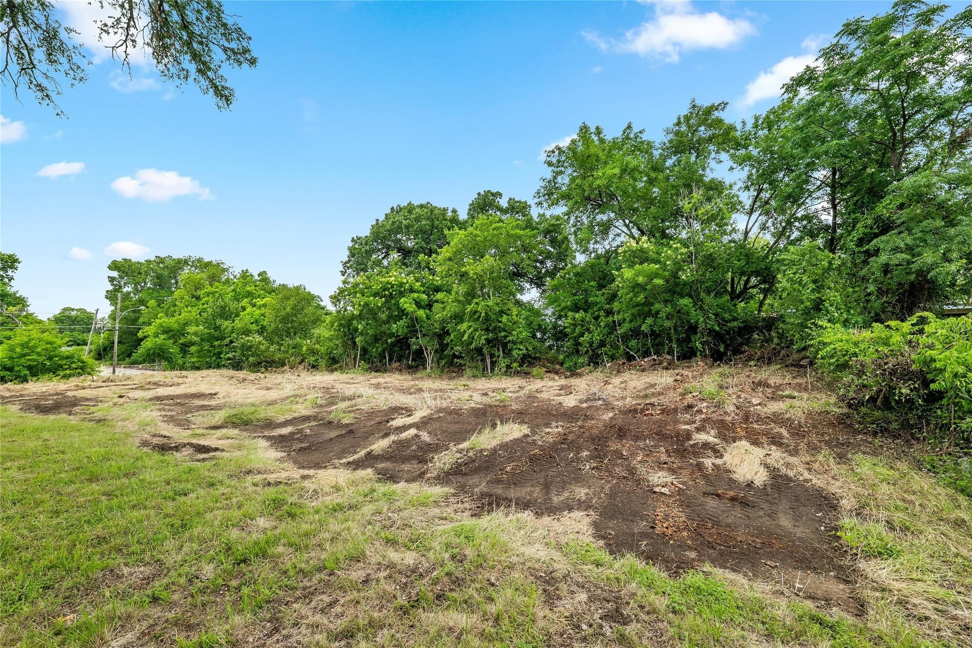 0.17 acres in Dallas County - photo 9
