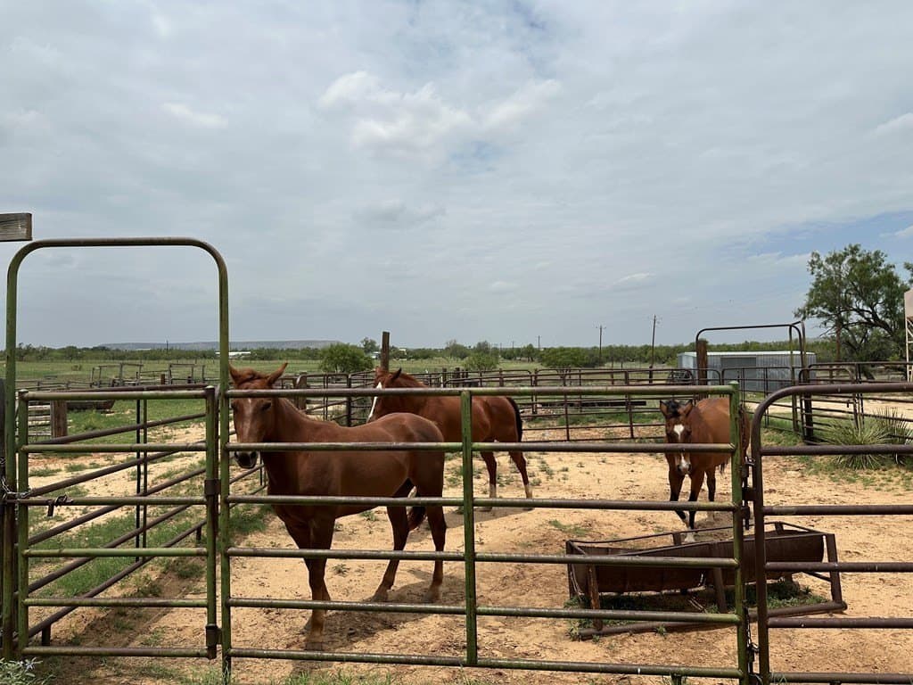 35 acres in Borden County - photo 43