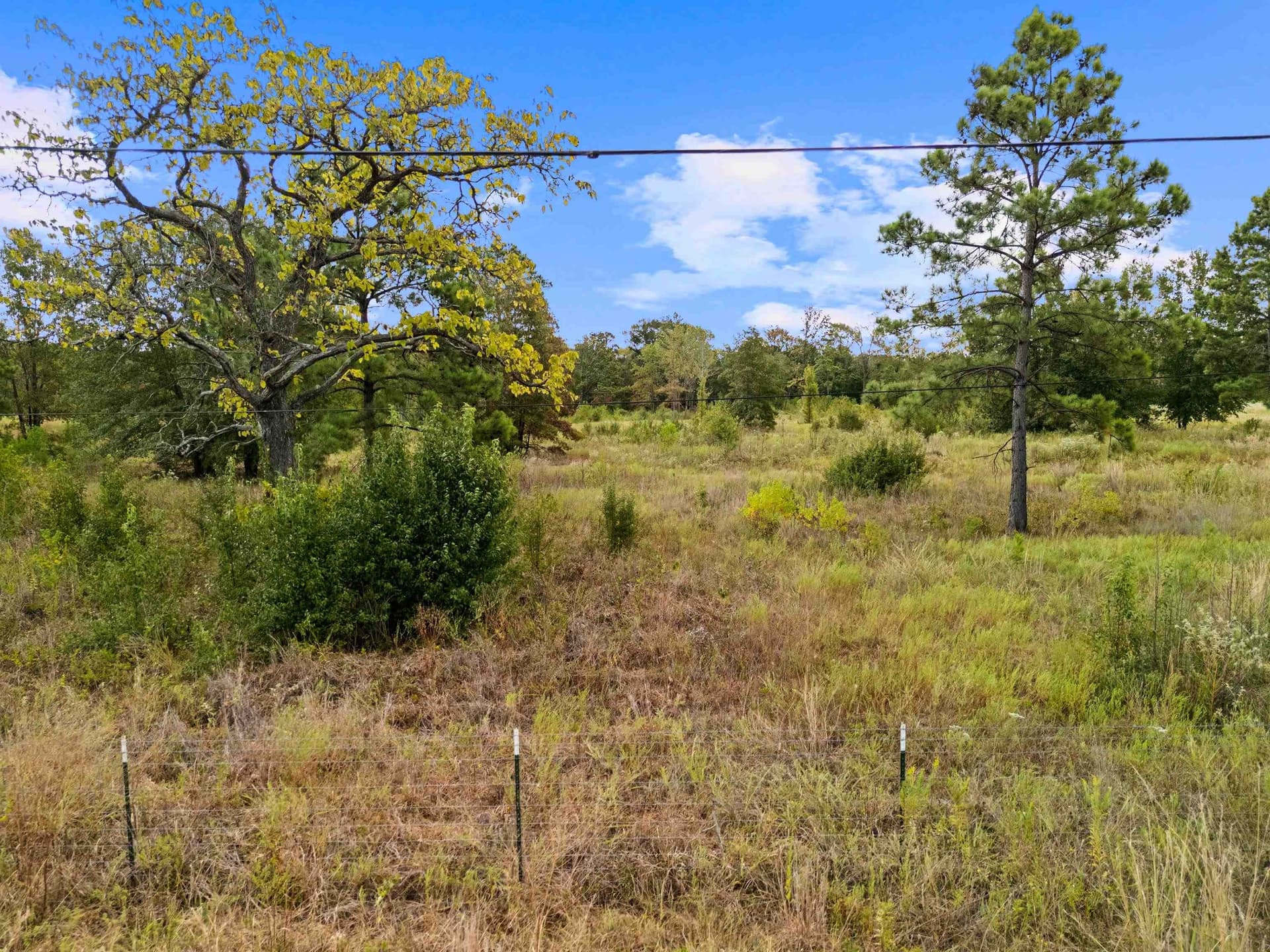 10 acres in Texas County - photo 12