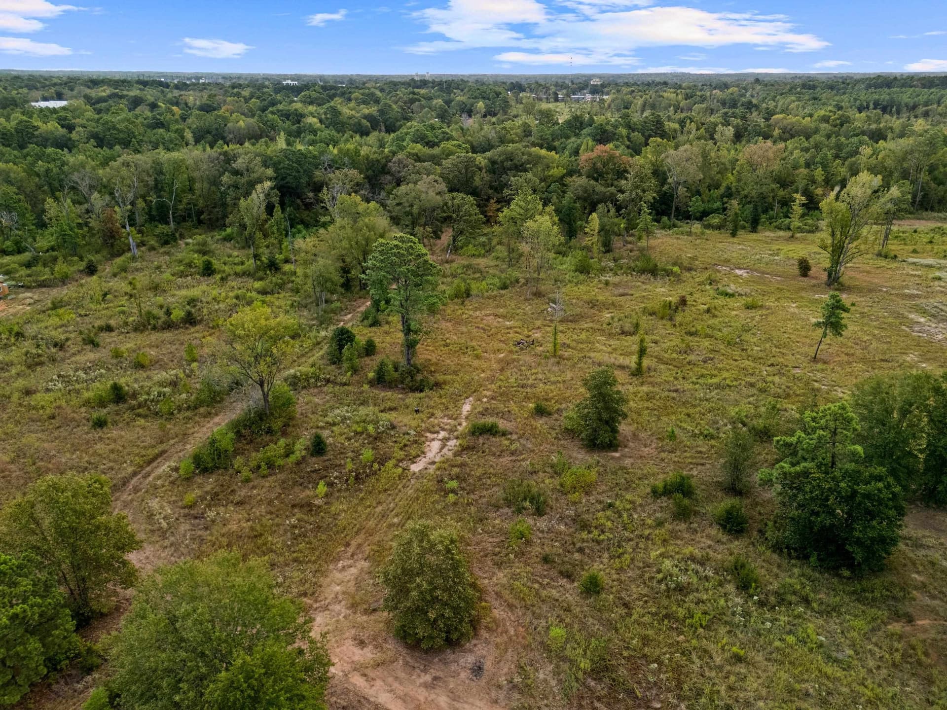 10 acres in Texas County - photo 6