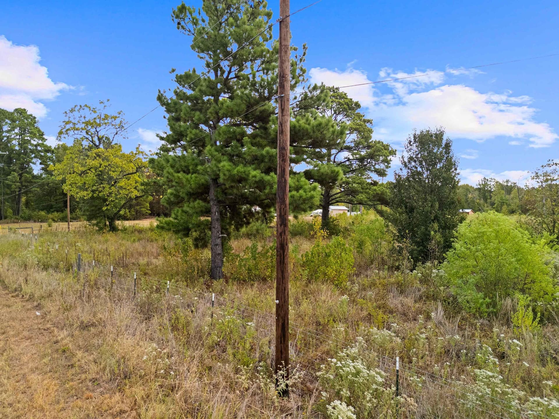10 acres in Texas County - photo 11