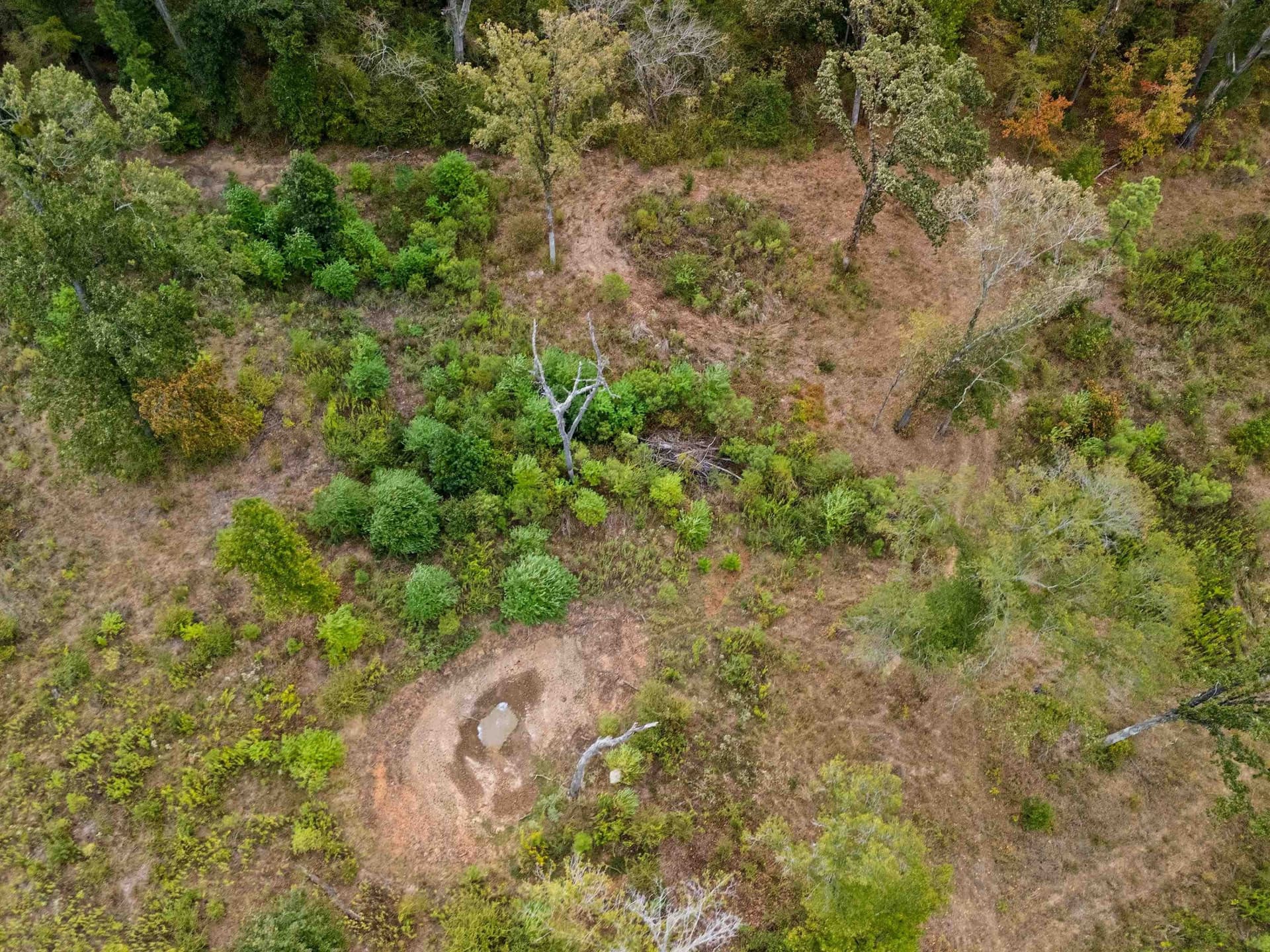 10 acres in Texas County - photo 8