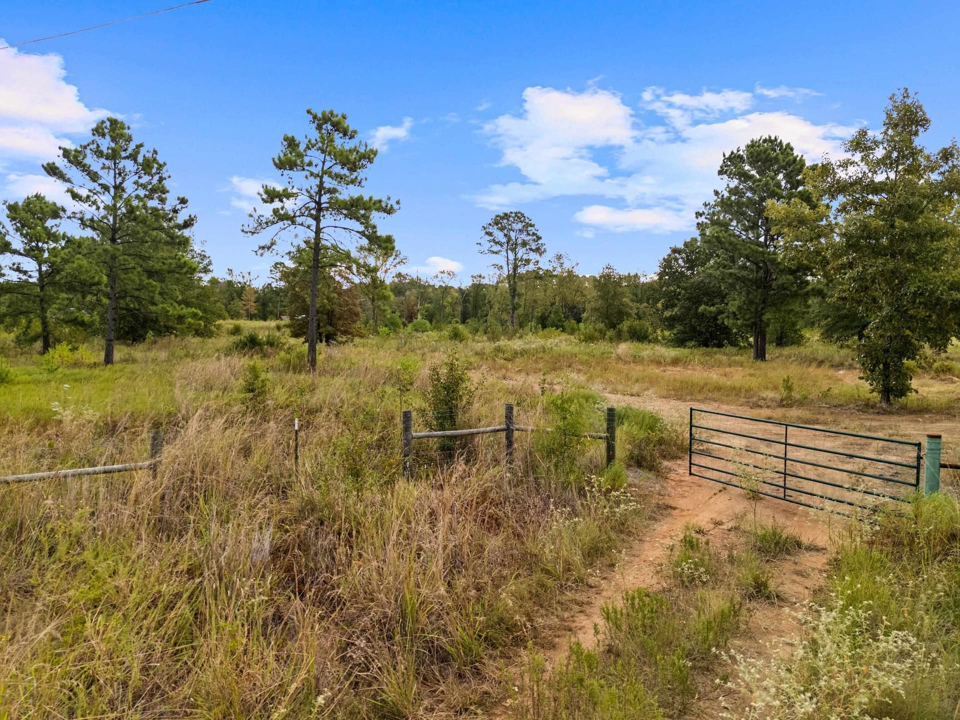 10 acres in Texas County - photo 2