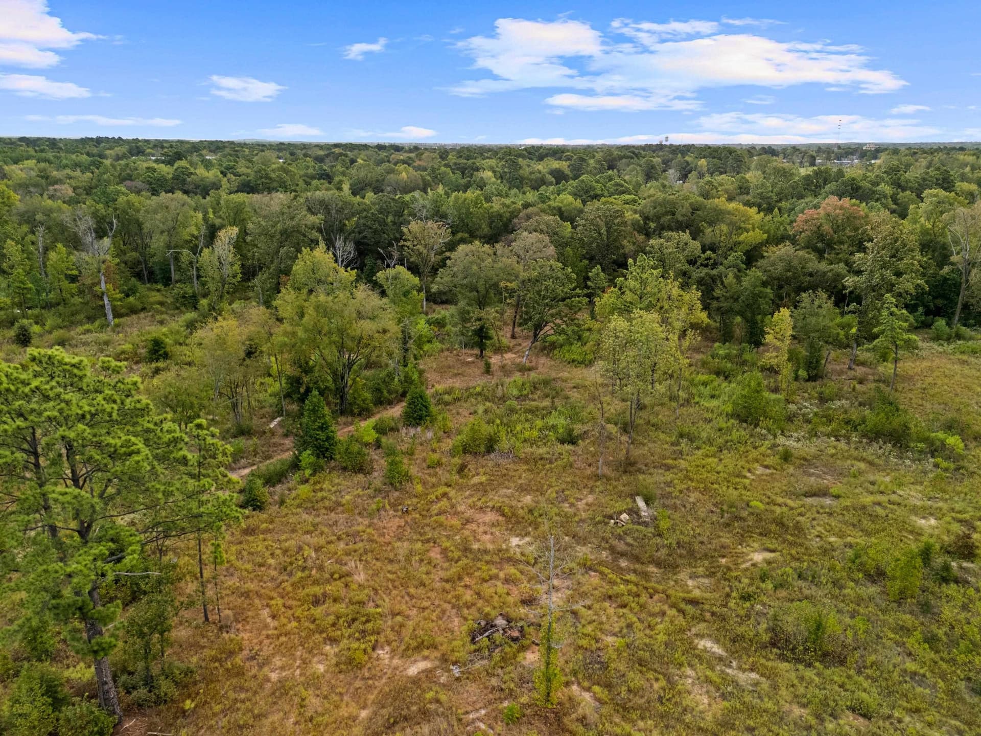 10 acres in Texas County - photo 4