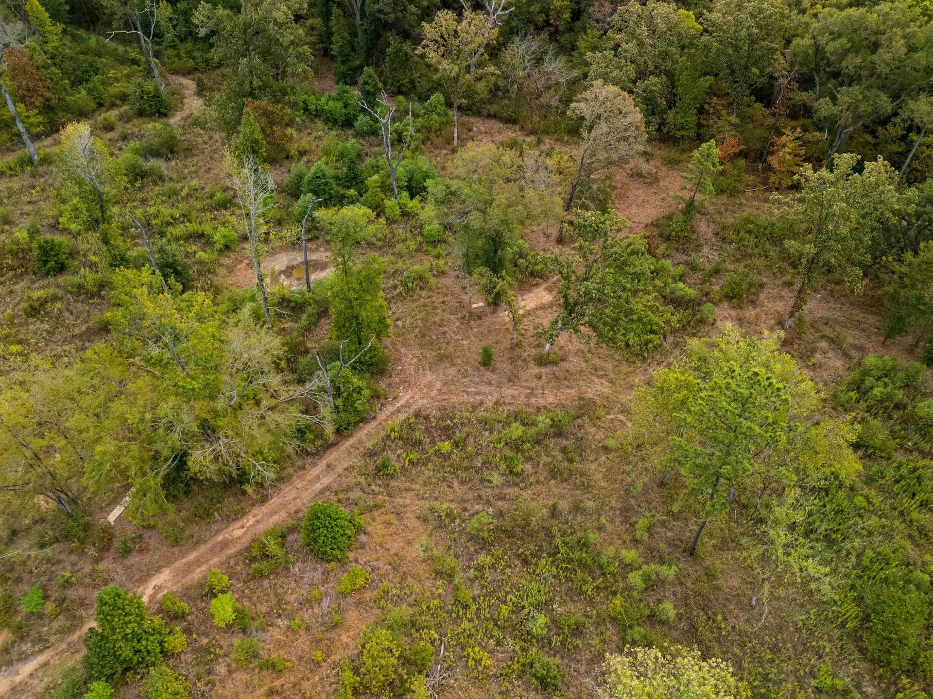 10 acres in Texas County - photo 7