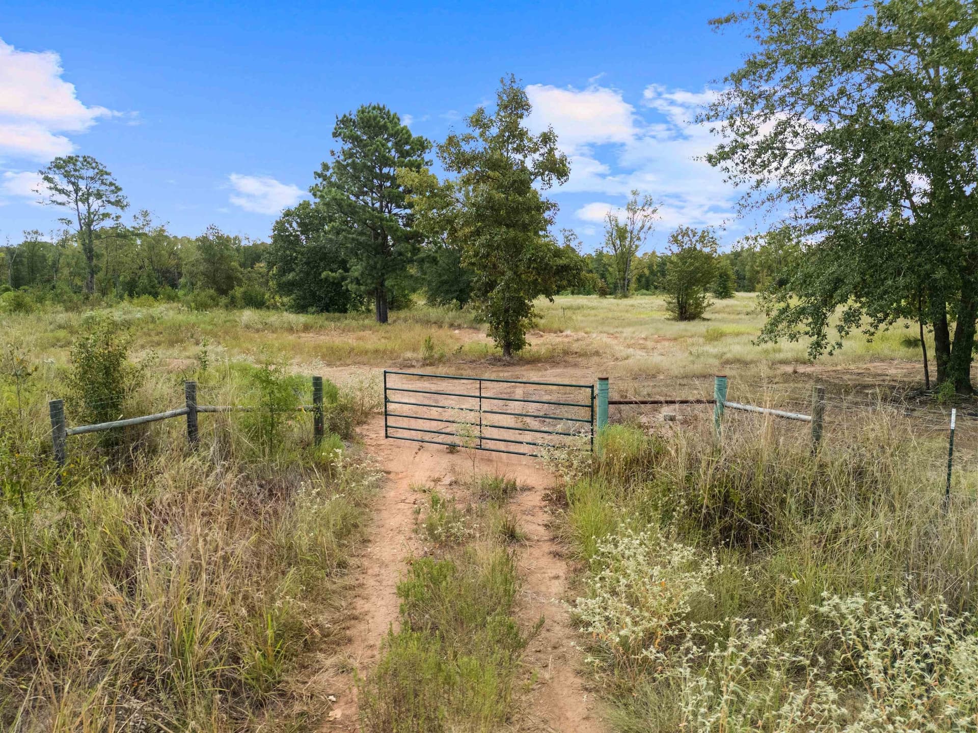 10 acres in Texas County