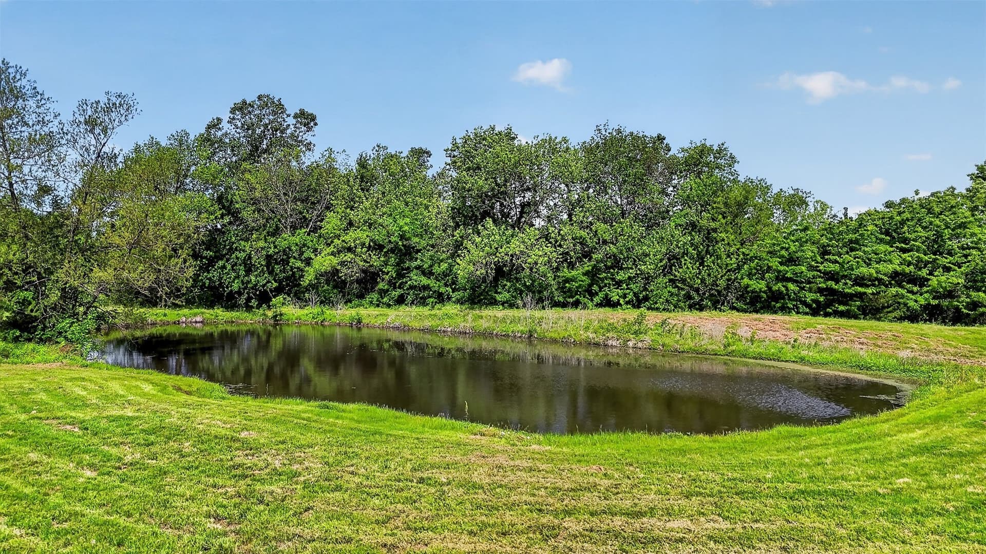 3 acres in Fannin County - photo 16