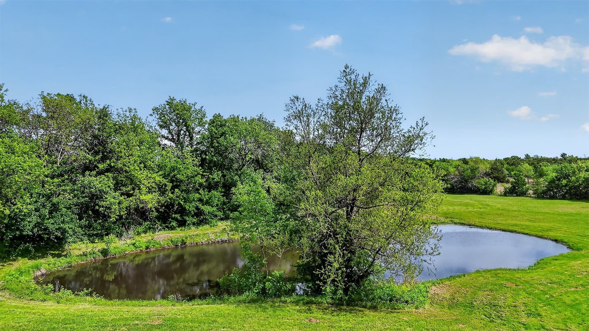 3 acres in Fannin County - photo 17