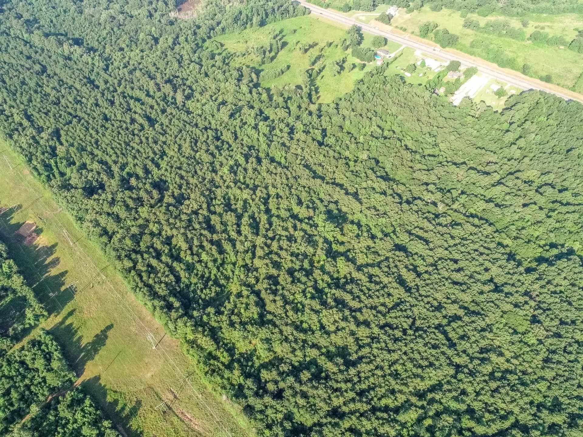 177.91 acres in Upshur County - photo 17