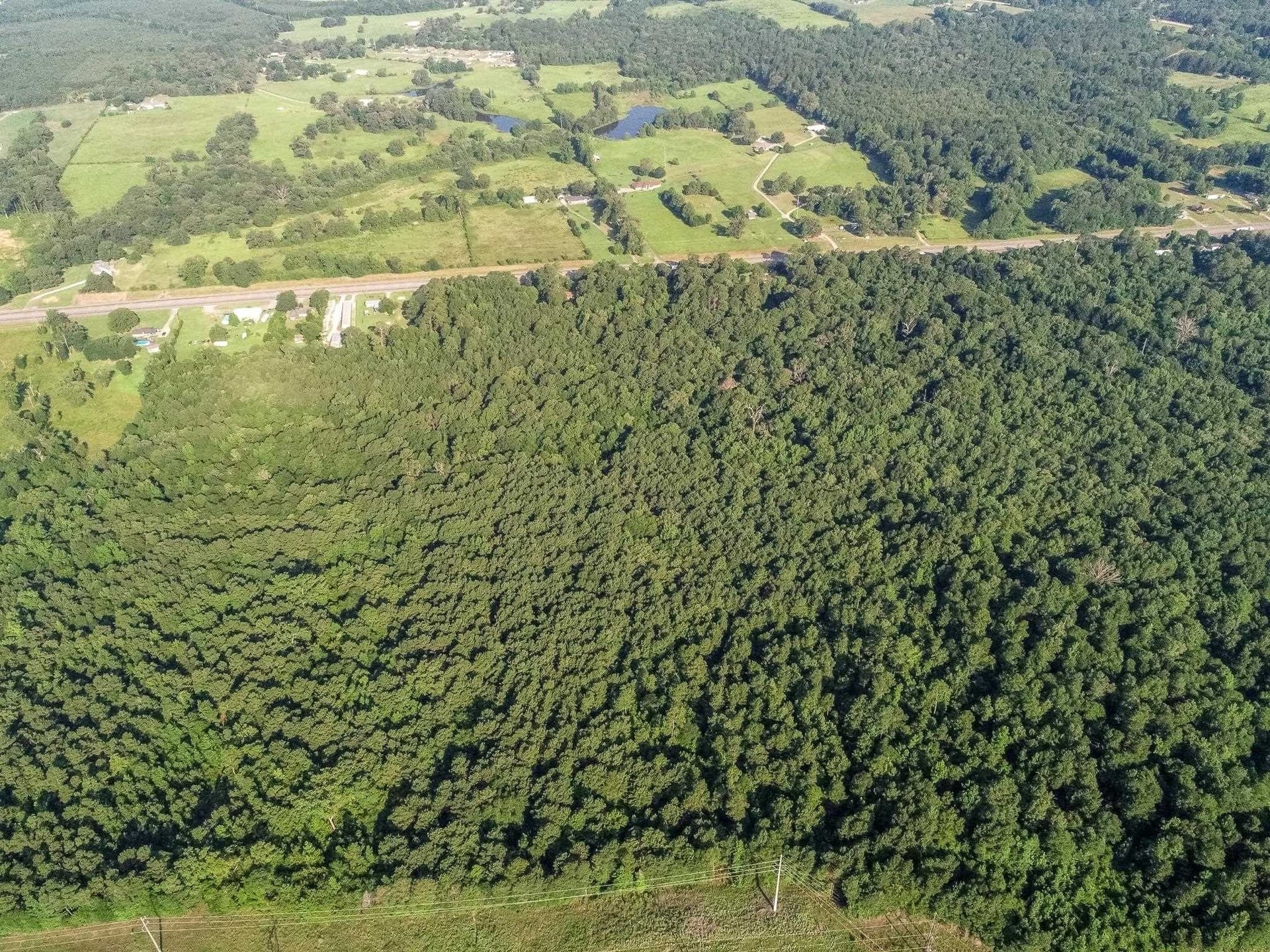 177.91 acres in Upshur County - photo 12