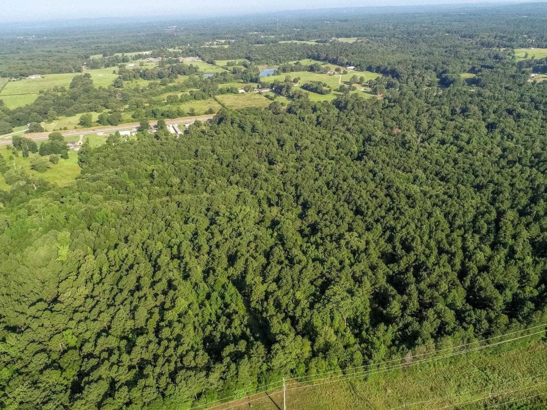 177.91 acres in Upshur County - photo 8