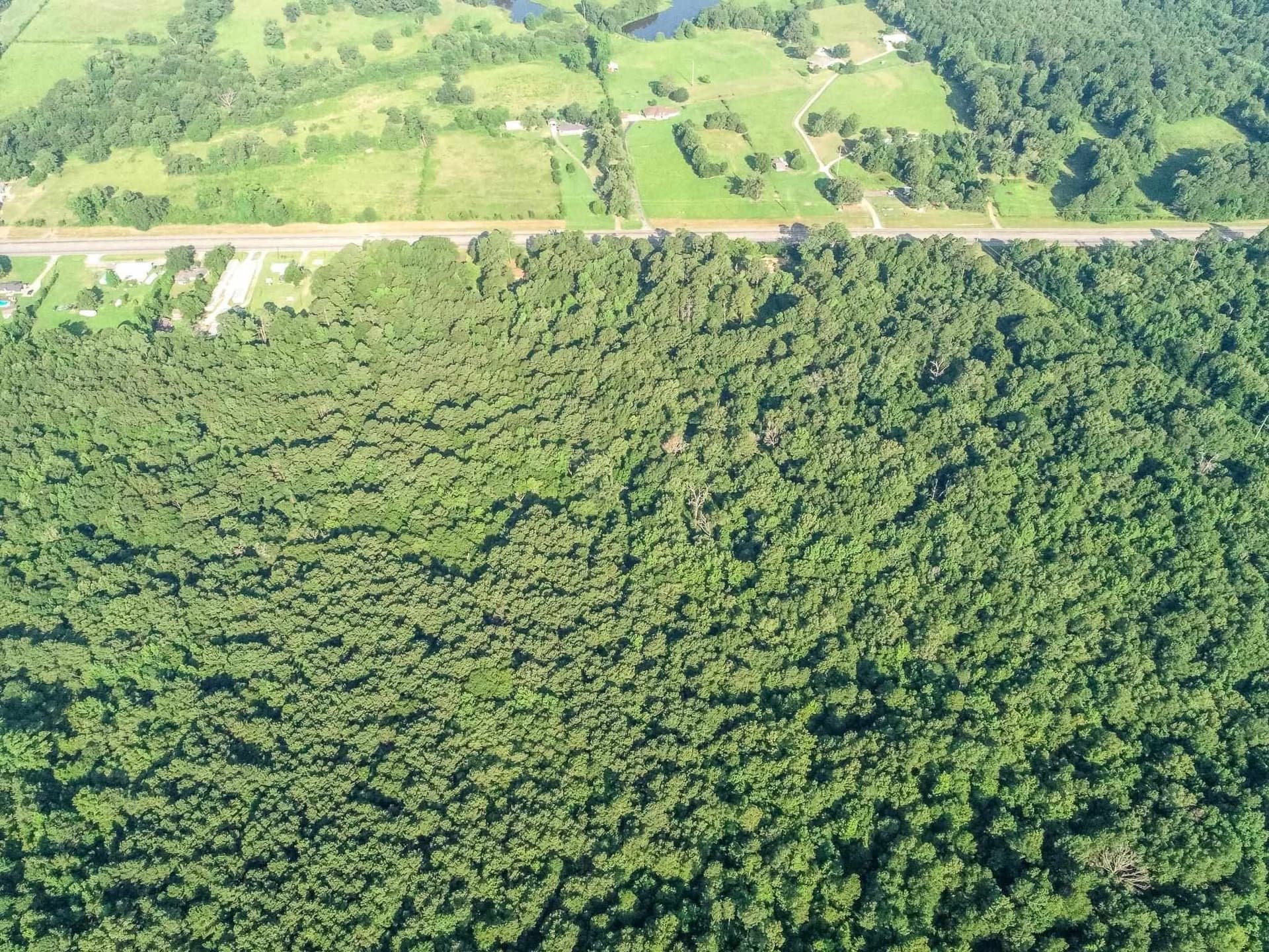 177.91 acres in Upshur County - photo 15